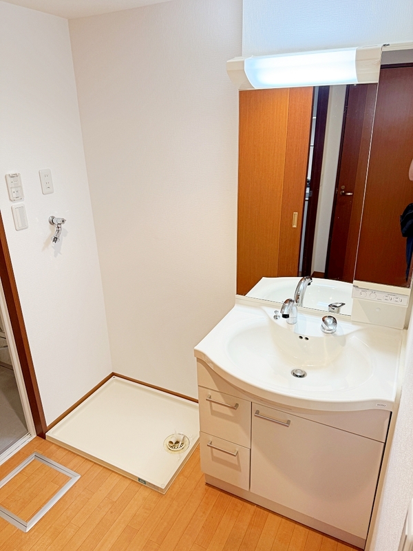 洗濯パン・シャンプードレッサー