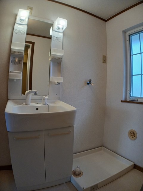 シャワー付き洗面台、室内洗濯機置き場