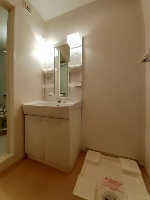 シャワー付き洗面台、室内洗濯機置き場