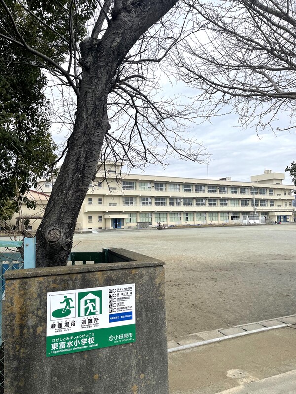 小学校