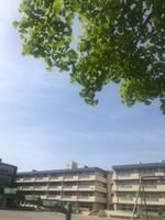 流山市立南流山小学校