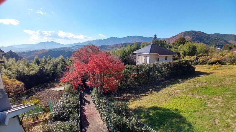 四方が自身の植栽で囲まれたプライベート空間。ドッグランやグランピング、キャンプ場に。