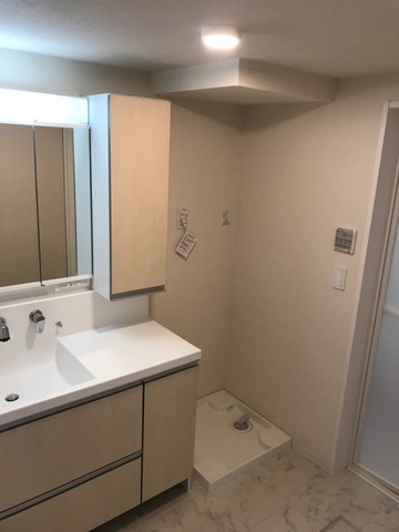 シャワー付き洗面台、室内洗濯機置き場