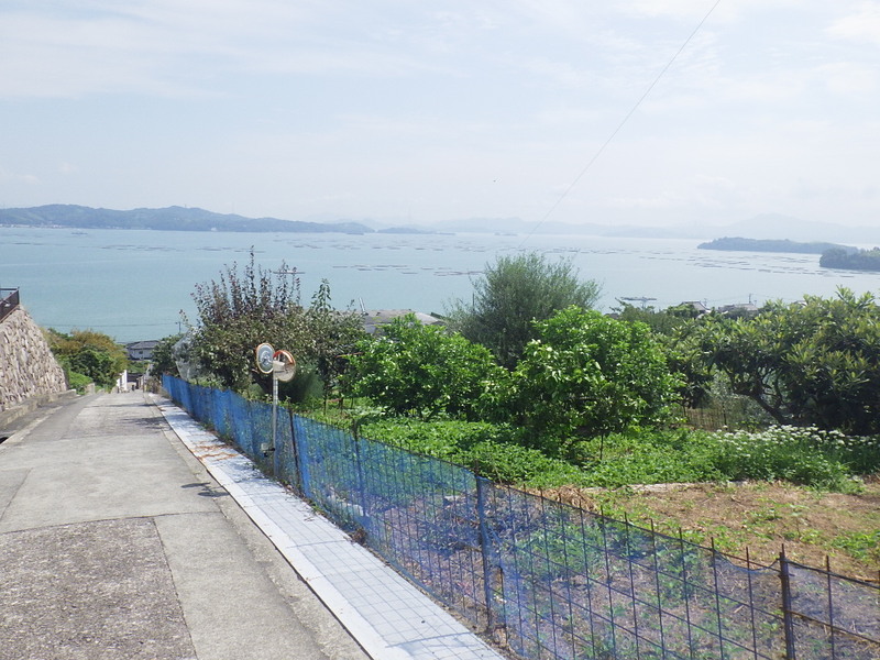 現地からの眺め