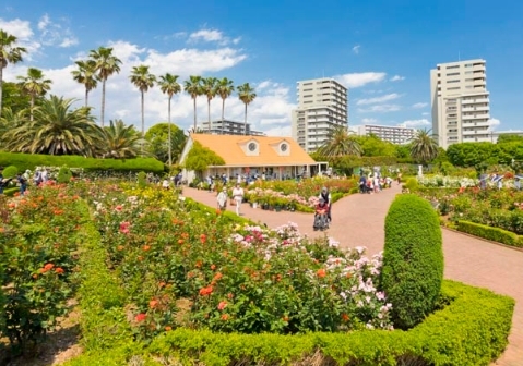 西習志野バラ公園