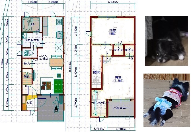 ペットと暮らす戸建て感覚のメゾネット２LDK