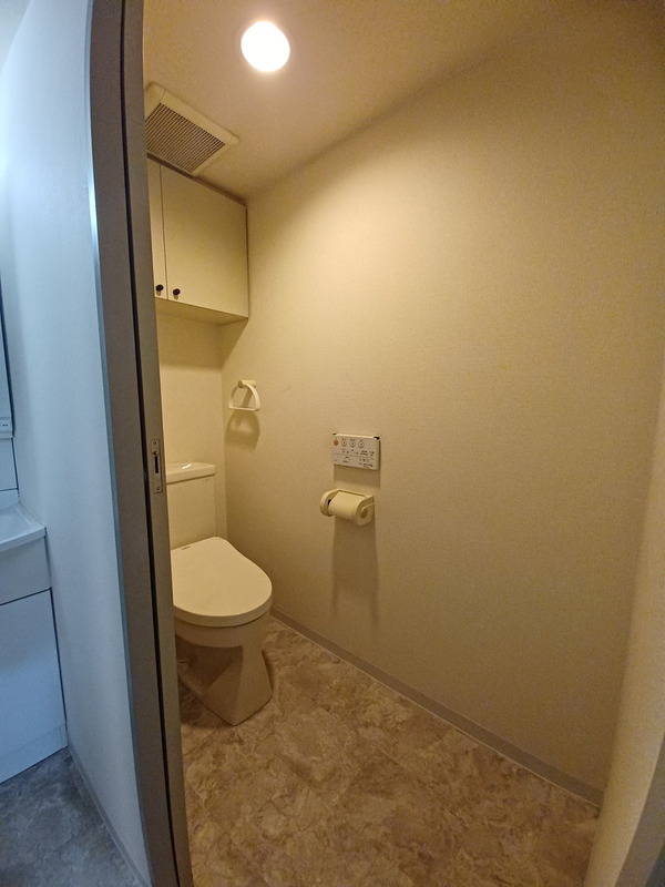 令和5年1月の写真です。