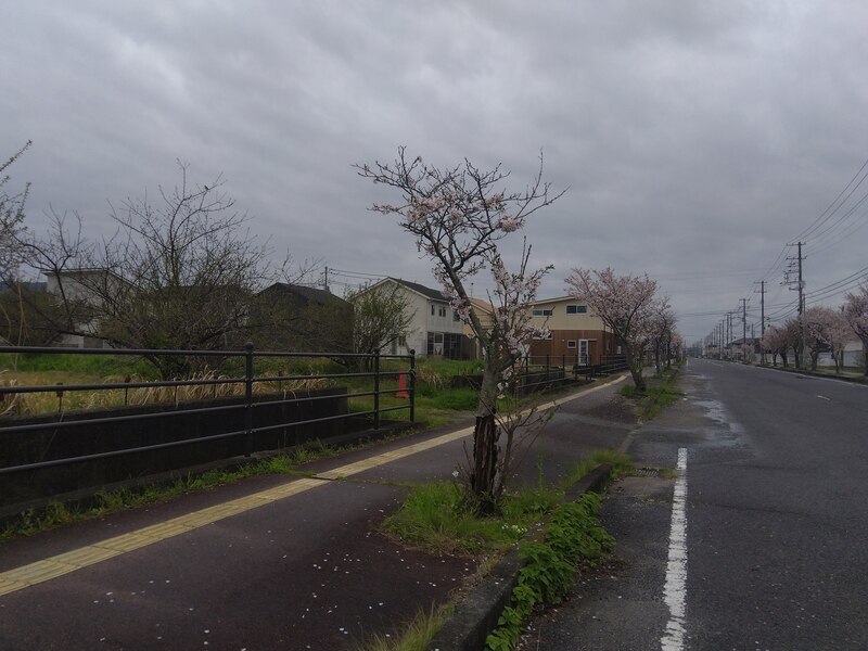前面道路