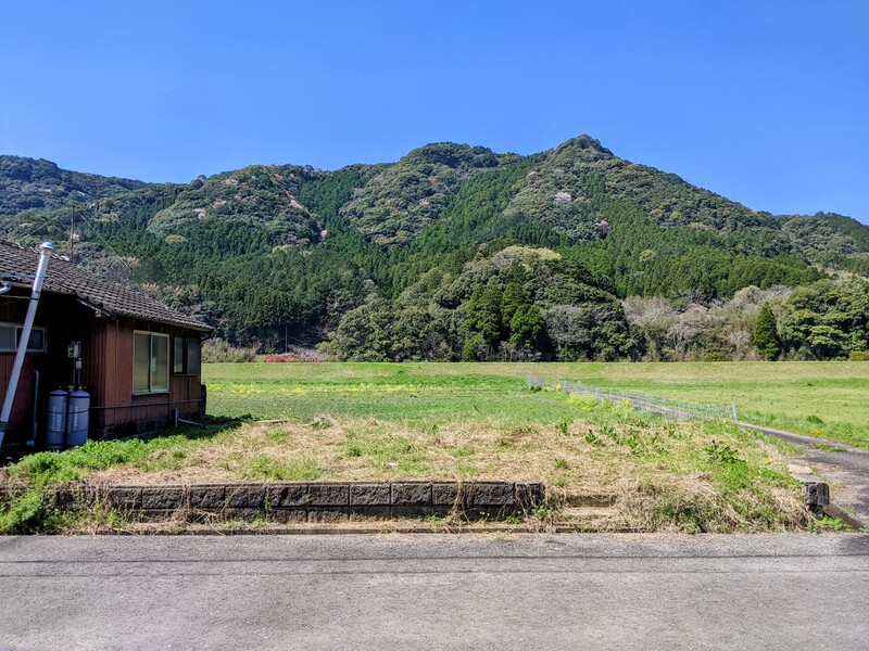 敷地東側からの様子。現況での引渡しとなります。