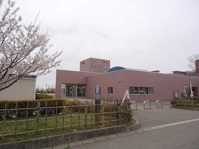 新潟国際情報大学