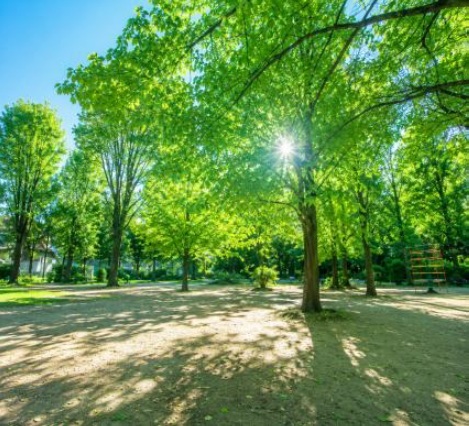 近隣公園