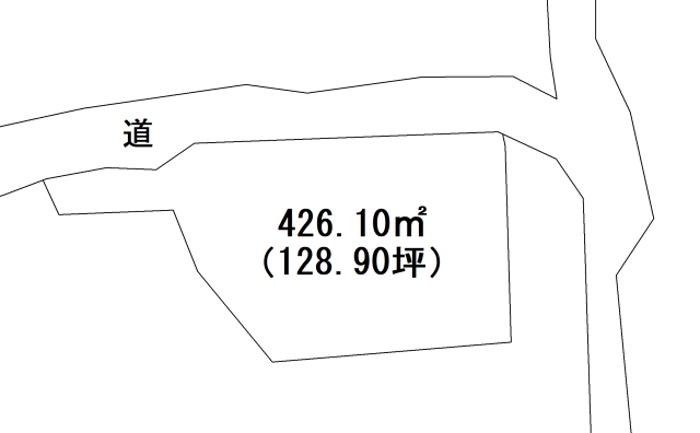 現地土地