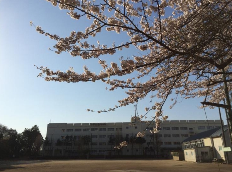 中学校