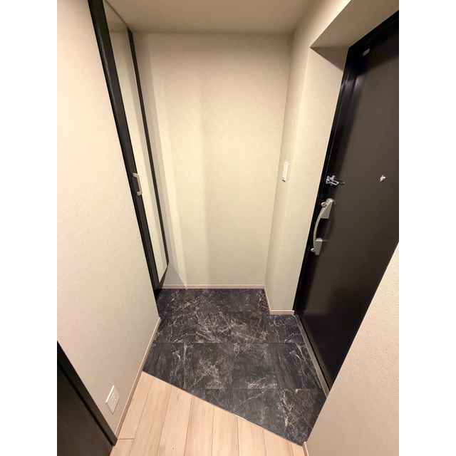 SOLASIA　residence荻窪Ⅱ0108号室 玄関