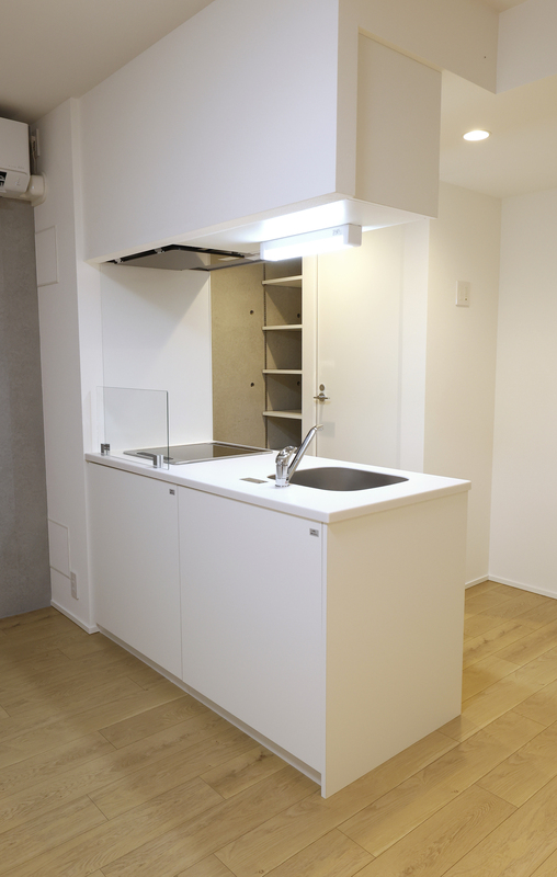 ルミークアン桜新町ノース101号室 部屋その他