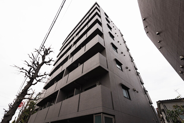 ルーブル都立家政参番館 703