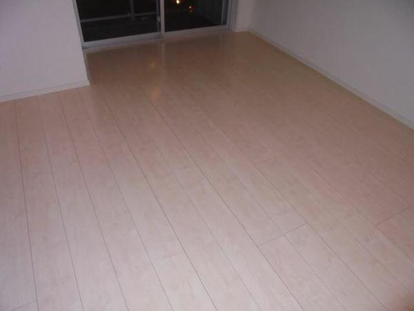 アルティザ東麻布902号室 部屋その他